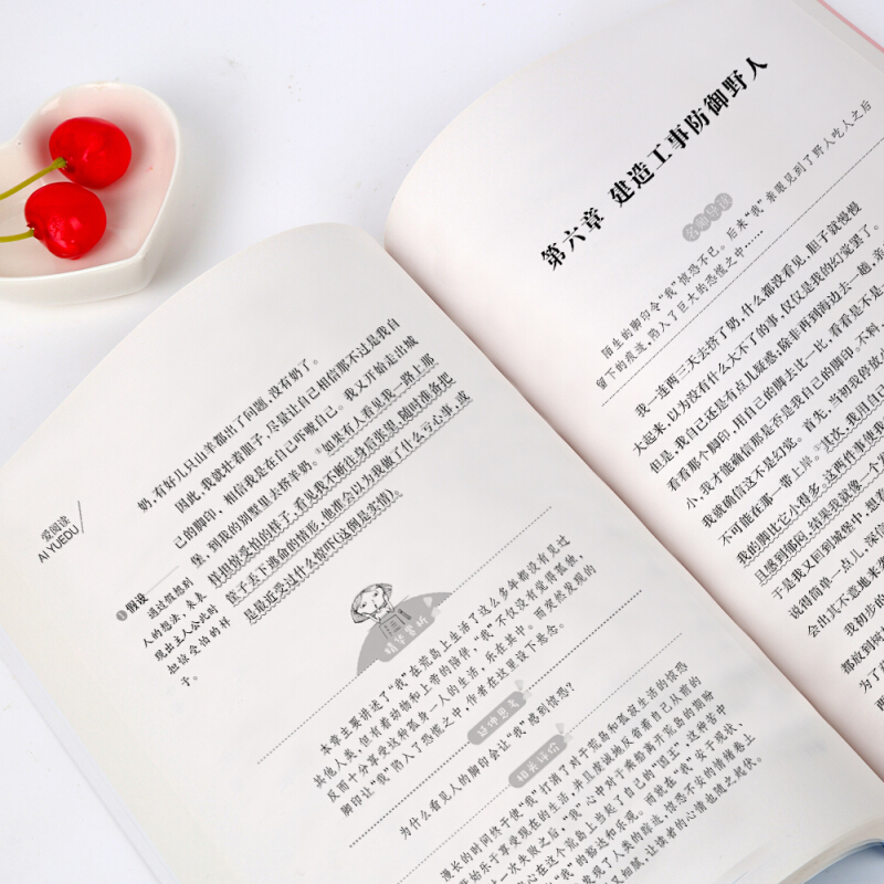 [六年级选读]“下次开船”港 [正版]鲁滨逊漂流记原著完整版六年级下册必读的课外阅读书藉单本青少年版天地出版社人教版鲁滨
