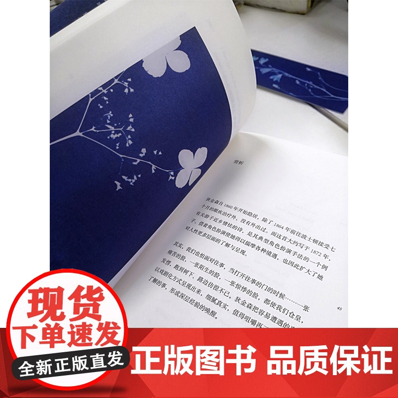书籍正版 我用古典的方式爱过你 艾米莉金森中英双语诗歌 哈佛大学出版社授权 众多明星朗诵深受千万文艺青年喜爱 外国诗歌高清大图