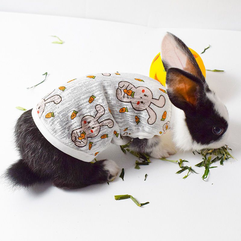 兔子衣服夏季薄款宠物小型兔兔荷兰猪垂耳兔侏儒兔幼兔宠物兔衣服xxs1