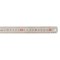安信(ACTUAL)150MM钢直尺1.0x20x150MM(10个) YXZ