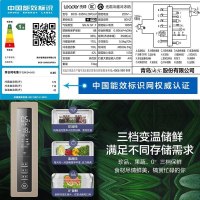 统帅(Leader)海尔出品法式多门冰箱335升容量 一级能效变频无霜智能操控电冰箱 BCD-335WLDPGU1