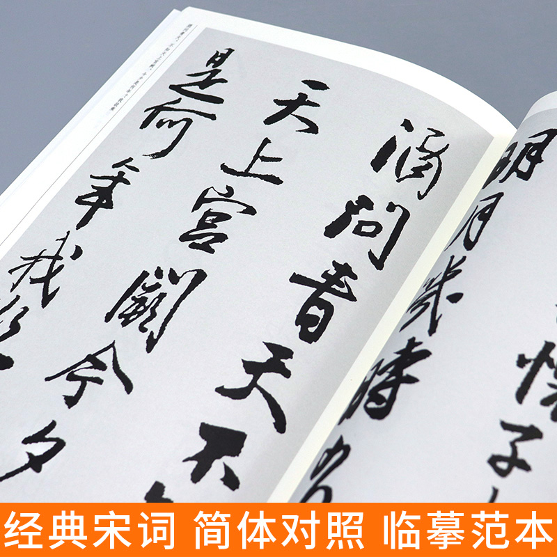 [醉染正版]全3册 王铎书法集字唐诗+宋词+宋词 中国历代书法名家作品集字古诗词行书草书真迹高清王铎临圣教序入门教程毛笔高清大图
