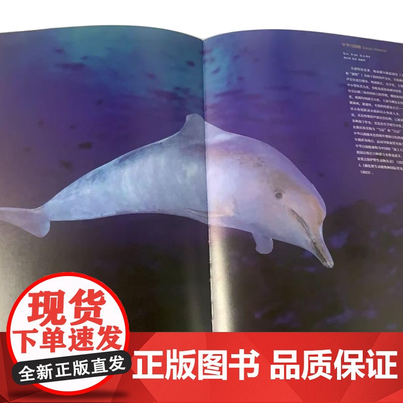 [正版]广东省博物馆藏品大系·动植物卷 文物 动物 植物 动植物 生物 自然 标本 中药 华南虎 中华白海 文物出版高清大图