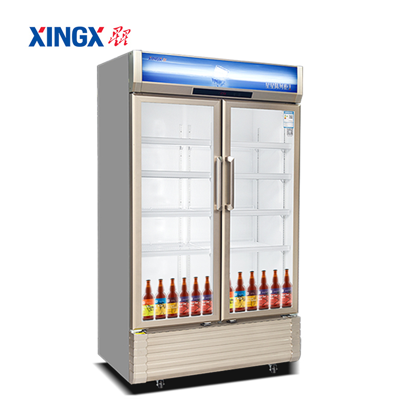 星星（XINGX）LSC-810WD 商用大容量双门立式冷柜无霜风冷陈列展示冰柜冷藏柜 金色
