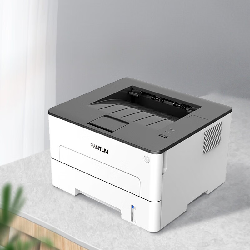 奔图(PANTUM) P3010D单功能黑白激光打印机 双面打印 P3010D 标配打印机 标准版高清大图