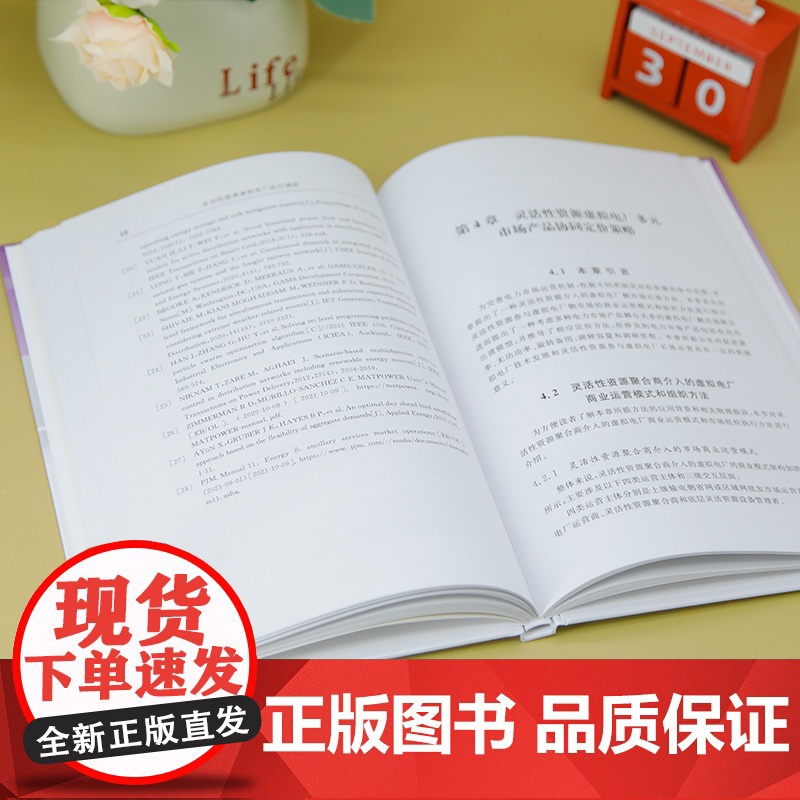书正版新书]灵活性资源虚拟电厂运行调控 仪忠凯 清华大学出版社 灵活性资源,虚拟电厂,电力市场高清大图