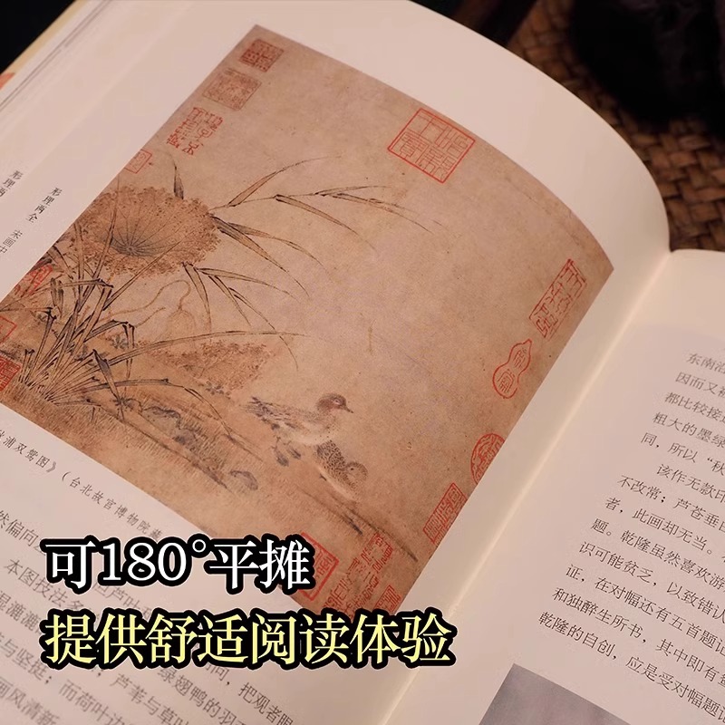 2册]形理两全+应物而祥 [正版]形理两全 宋画中的鸟类+应物而祥 明清花鸟画的另类视野 全2册解读宋代鸟类宋朝国画绘画高清大图