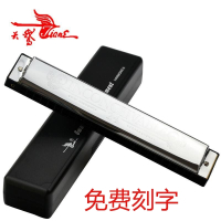 天鹅(Tian E)24孔复音重音口琴ABCDEFGA#C#D#F#G#12调全套乐器