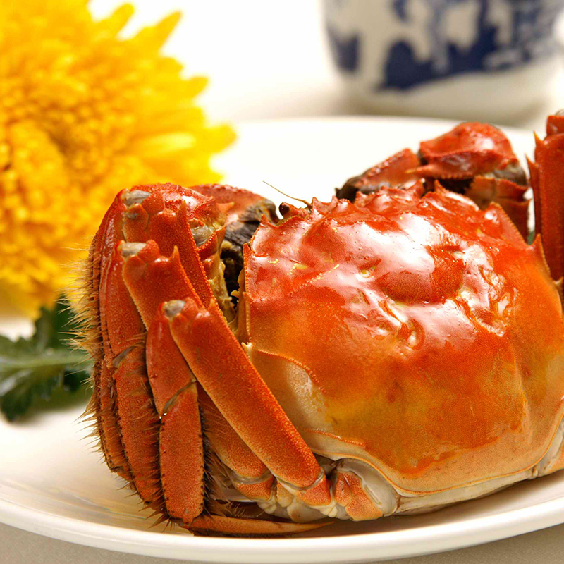 [活蟹]缘蟹汇牌大闸蟹6888型 公蟹6.0两/只 母蟹4.0两/只 5对10只 去绳净重 生鲜活蟹 中秋礼品