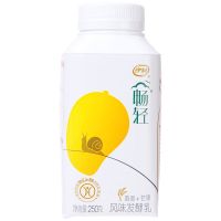 伊利 酸奶 畅轻 畅轻风味发酵乳 250g*12瓶（黄桃燕麦、草莓燕麦、芒果燕麦、核桃燕麦、 原味酸奶随机口味备注）