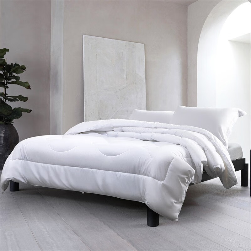 水星 依兰负离子抗菌被床上用品 DH依兰负离子抗菌被 200cm×230cm