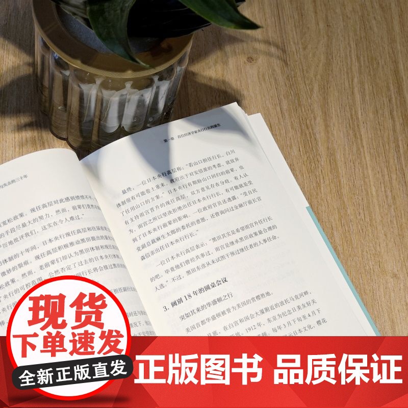 套装 日本央行的光与影 央行与失去的三十年+失去的三十年 平成日本经济史 套装全2册 通货紧缩 宏观调控 经济理论经高清大图