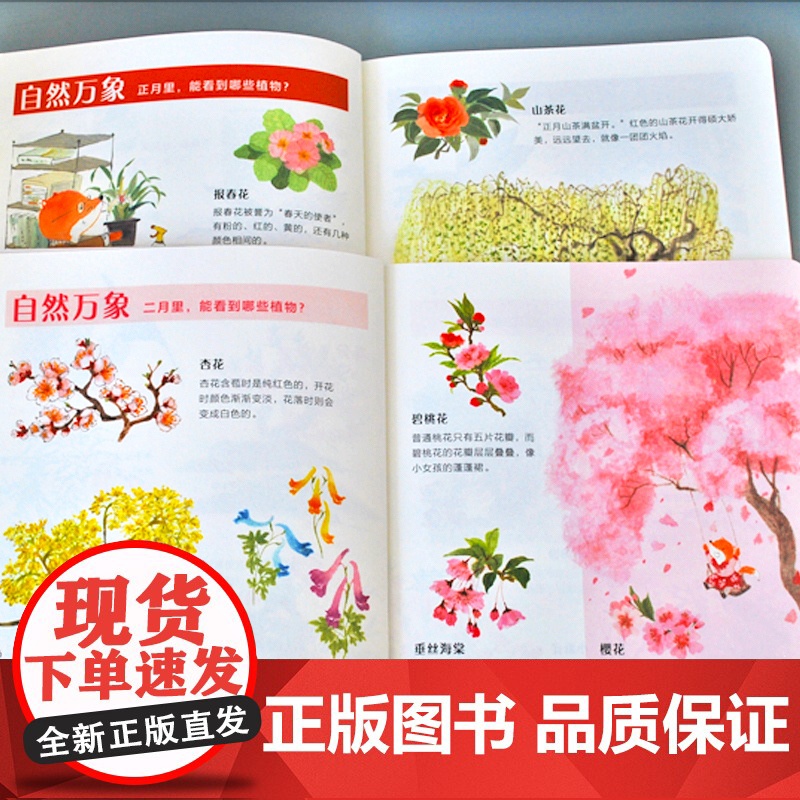 狐狸家的岁时记全套12册二十四节气民俗传统故事中国传统节日故事东方故事儿童绘本3-4–6岁幼儿园幼儿宝宝阅读高清大图
