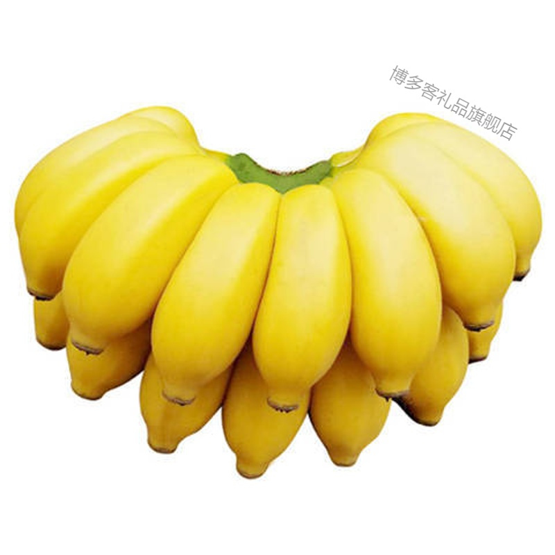 湛航 广西小米蕉香蕉水果 批发5斤装芭蕉当季小米蕉