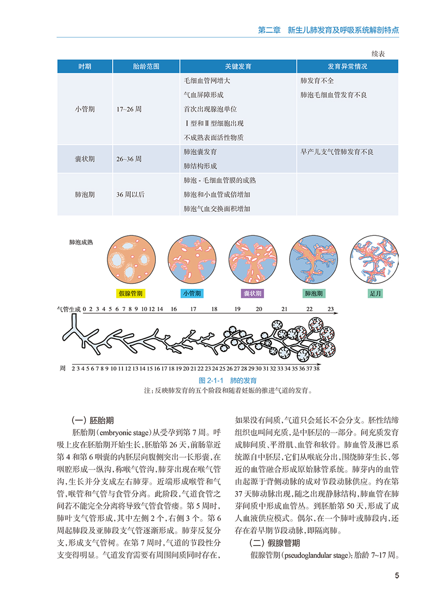 [正版]新生儿机械通气技术 附视频 巨容 新生儿危重症常用的抢救技术应用并发症发生护理 新生儿及儿科专业医师参考书 人高清大图