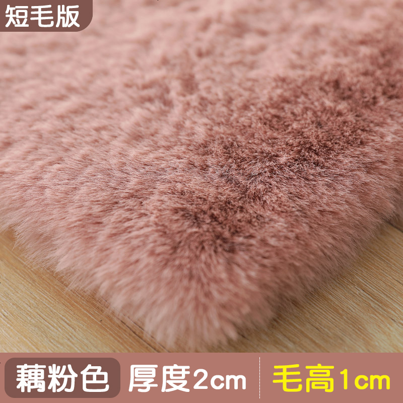 地毯客厅北欧满铺飘窗ins网红同款床边毯仿兔毛绒茶几垫地垫卧室