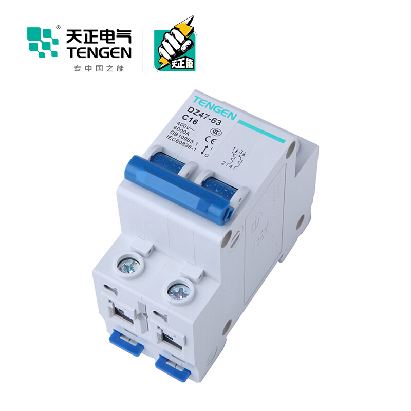 天正电气 空气开关 DZ47-63 2P C 16A 4.5KA 01060020254 微型断路器