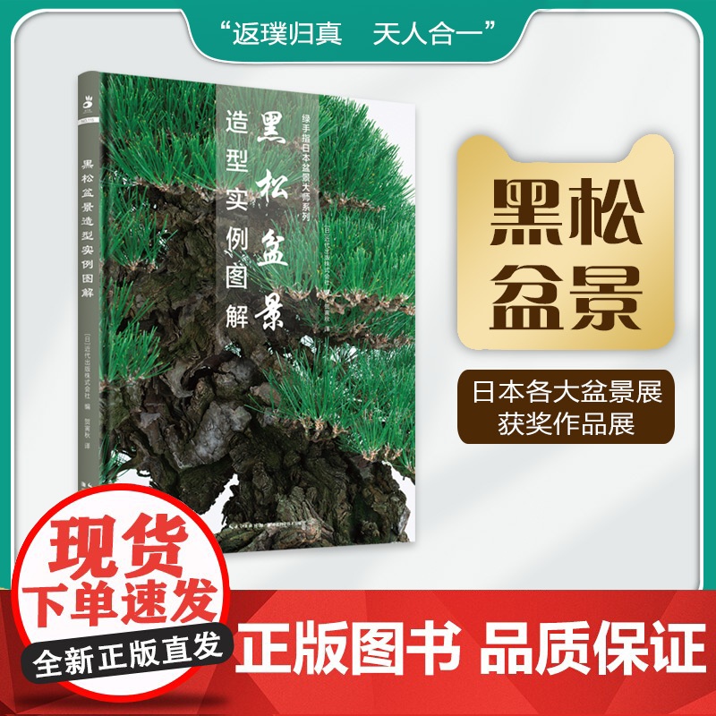 黑松盆景造型实例图解 绿手指日本盆景大师系列 贺寅秋译 中文版高清大图