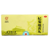 同仁堂 杞菊地黄丸(大蜜丸) 9g*10丸 健脾益肾 丸剂 眩晕耳鸣 羞明畏光