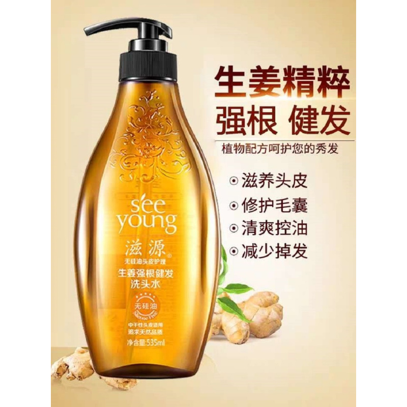滋源(SEEYOUNG) 生姜强根健发洗头水洗发水535ml(中干性 油性)(单位:瓶)