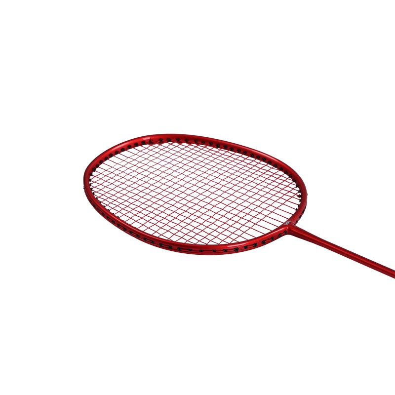 Hodtown何大屋常胜将军 羽毛球拍HDW1315高清大图