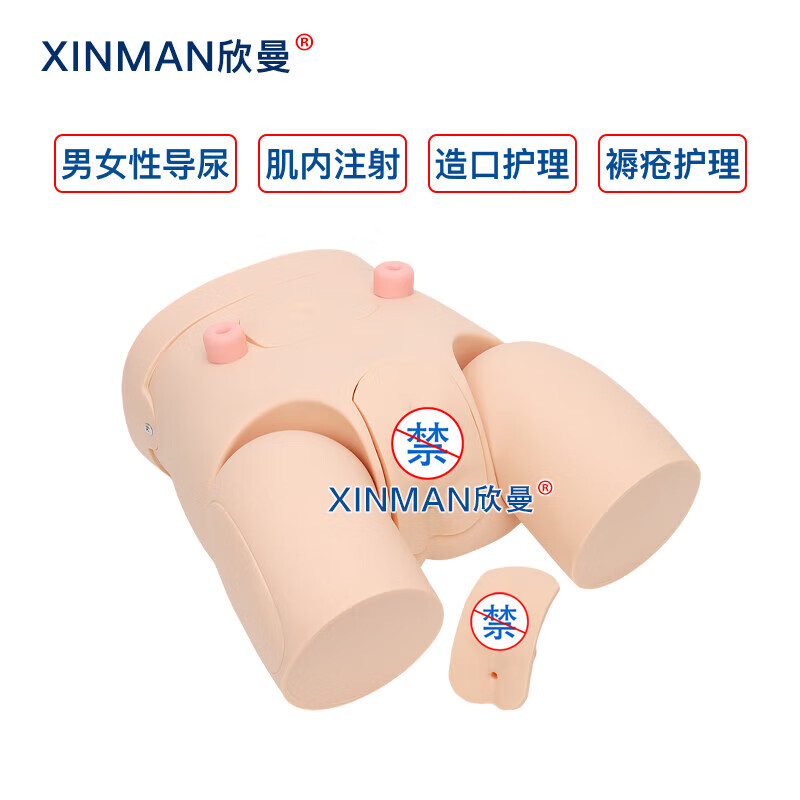 欣曼科教 高级男女性互换导尿操作训练模型 导尿练习模拟人XM-H12高清大图