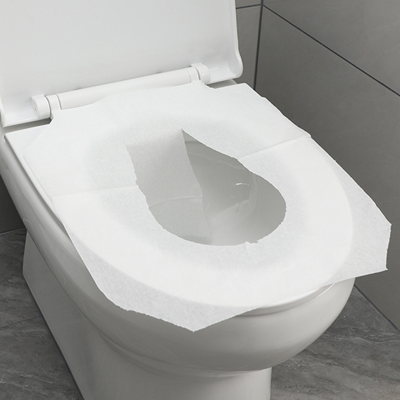 蓝风笛 一次性马桶垫 250张 包高清大图