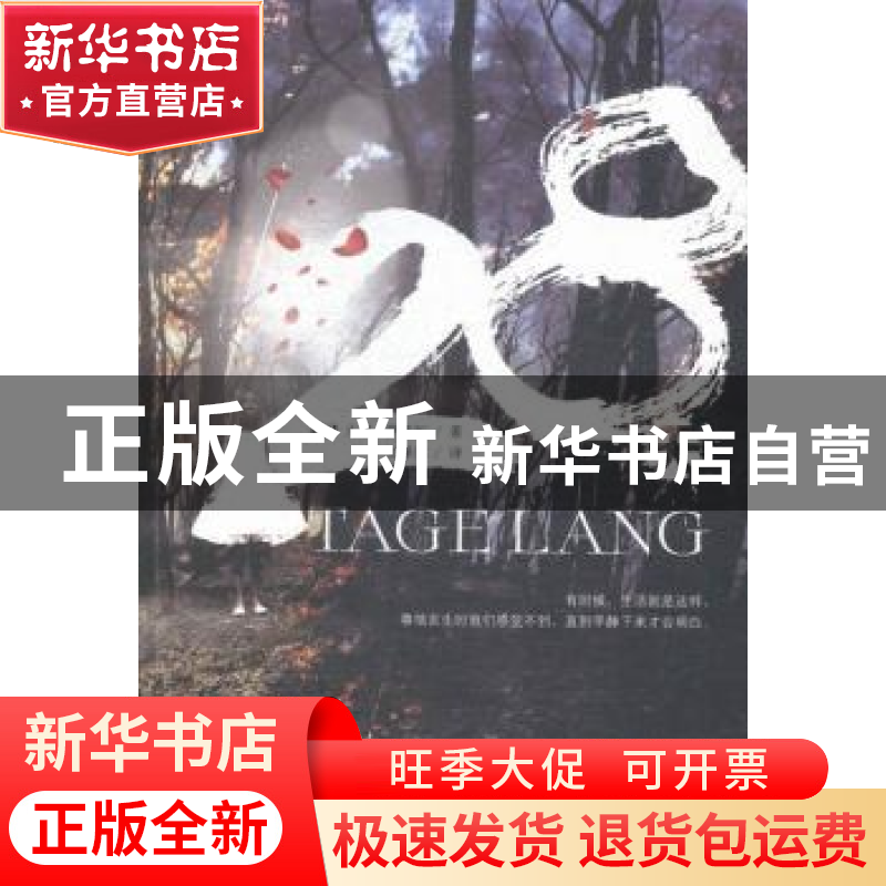 正版 28天 (德)大卫·萨菲尔著 上海人民出版社 9787208128354 书高清大图