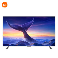 小米（MI）电视100英寸240Hz 4+64GB 电视REDMI MAX100（移动支架）