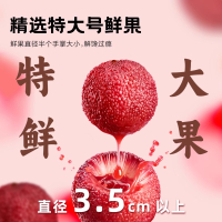 来伊份陈皮杨梅王300g 东魁大果水果干蜜饯果脯梅干话梅零食独立包装