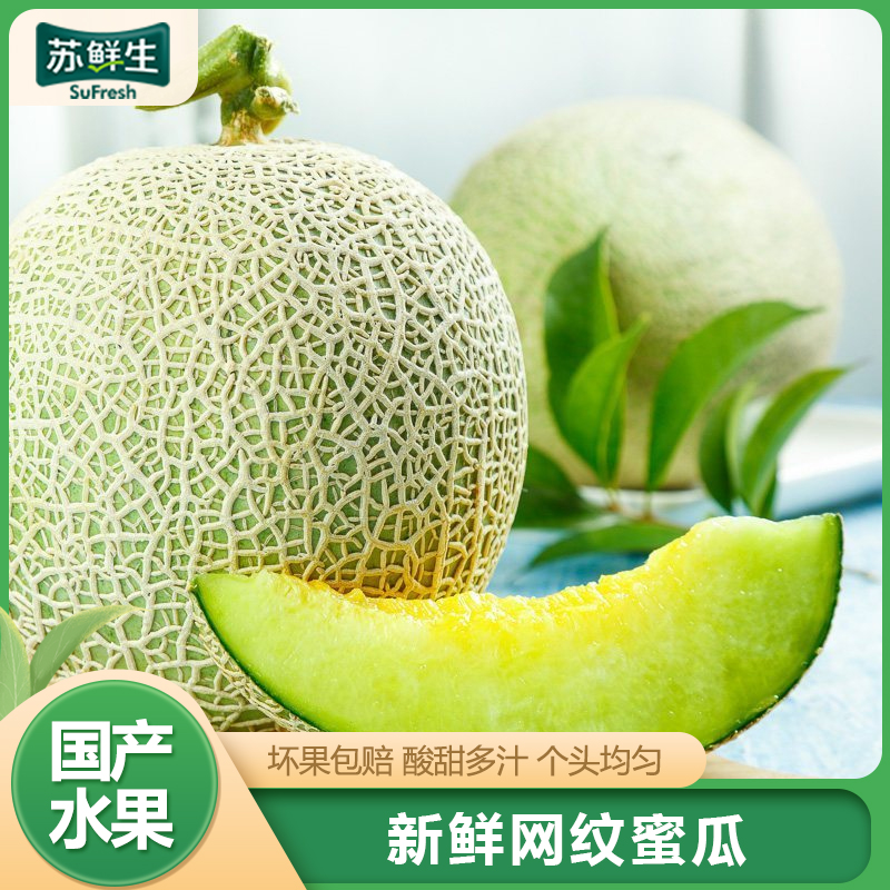 [苏鲜生]网纹蜜瓜 净重2.5斤 1-2个 冰淇淋新鲜水果当季哈蜜瓜