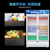五洲伯乐(WUZHOUBOLE)LC-888 888升 商用展示柜 冷藏饮料柜 双门展示柜 侧开门 陈列保鲜柜(白色)