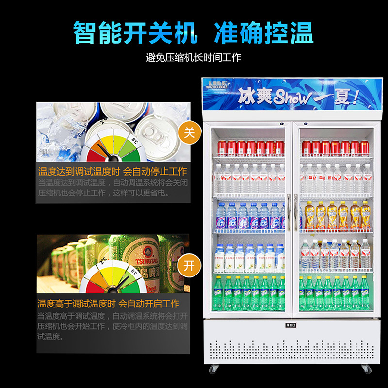 五洲伯乐(WUZHOUBOLE)LC-888 888升 商用展示柜 冷藏饮料柜 双门展示柜 侧开门 陈列保鲜柜(白色)