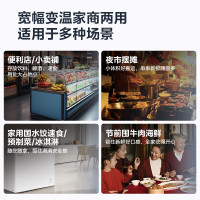美的(Midea)300升商用冰柜冷柜展示柜小型冰箱冷冻柜雪糕饮料水果冷藏保鲜柜MS-305LGE
