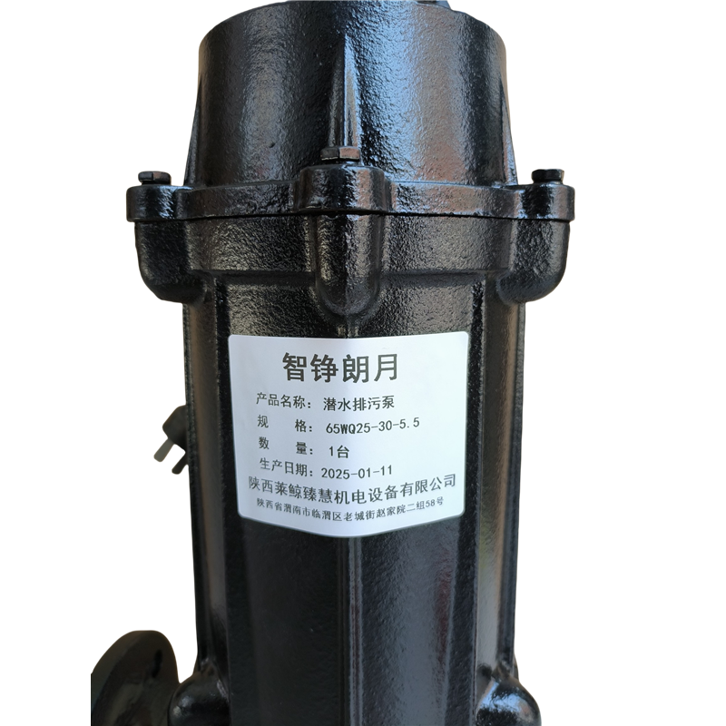 智铮朗月 潜水排污泵 65WQ25-30-5.5 台高清大图