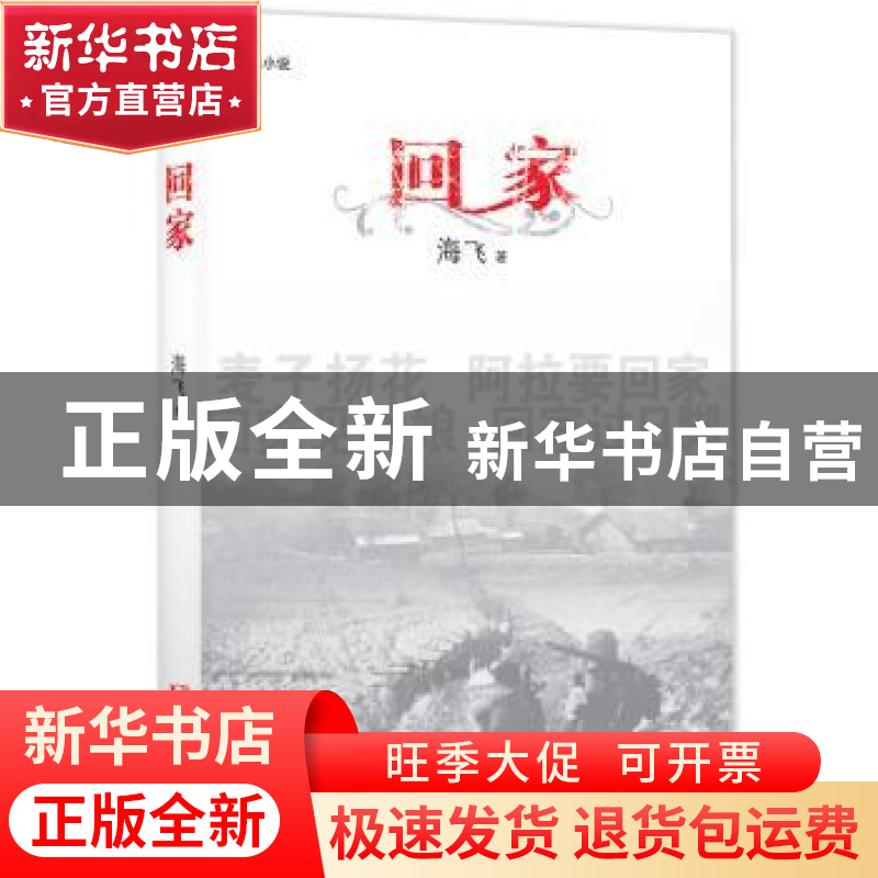 正版 回家:长篇小说 海飞 浙江文艺出版社 9787533939496 书籍高清大图