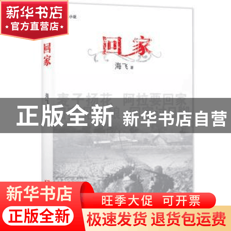 正版 回家:长篇小说 海飞 浙江文艺出版社 9787533939496 书籍图片