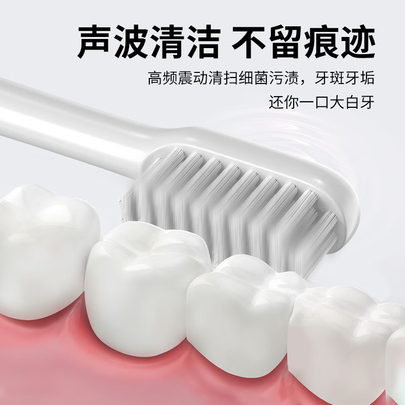 笨笨马(BenBenMa)电动牙刷成人充电式情侣男女学生出行BY01 白色(牙刷+牙刷头)高清大图