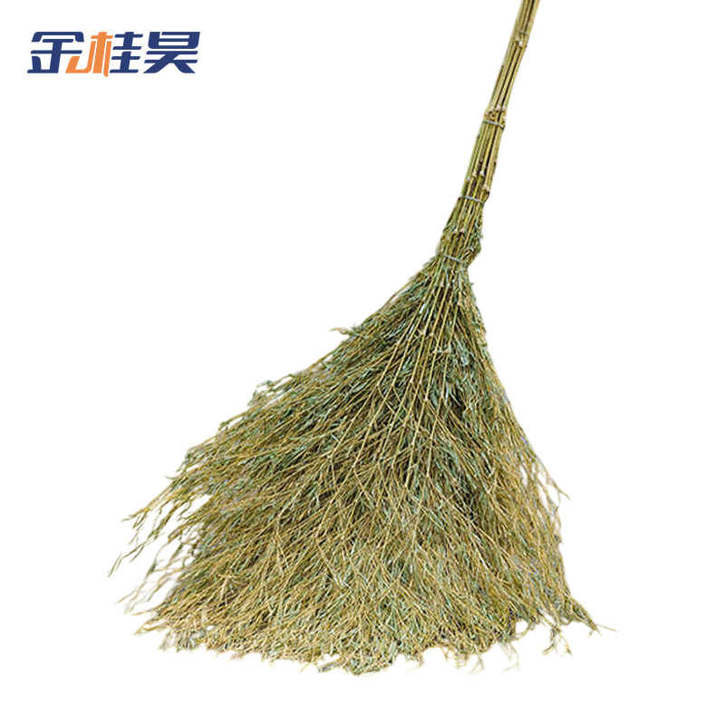 金桂昊 大扫把 一体带叶5斤重 把高清大图
