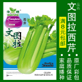 蔬菜种子四季播盆栽番茄黄瓜辣椒西瓜籽孑大全罗卜蕃茄苏州青黄心 文图拉西芹约500粒 均码