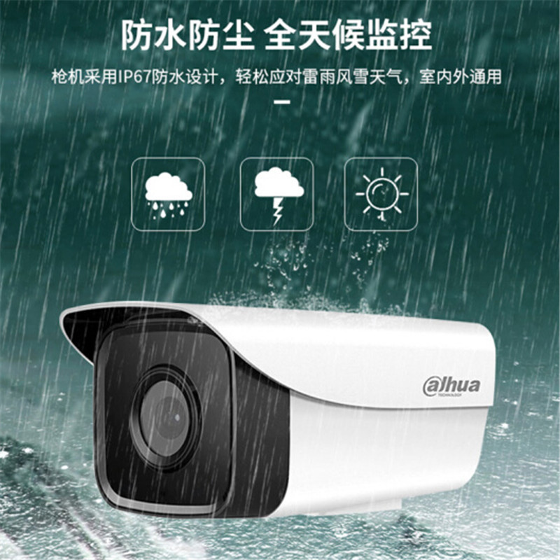 大华(alhua)DH-P30摄像头 300万监控摄像头POE 网络高清带录音红外夜视30米监控器 H265存储