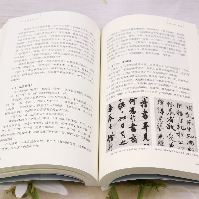 [正版]中国书法十五讲 方建勋 每讲附有课程视频 附古代碑帖临习视频 北大书法公开课 书法审美与实践讲稿整理高清大图