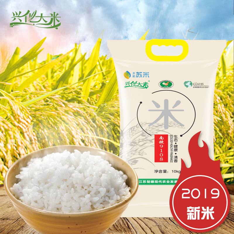 兴化大米 生态种植10kg/袋20斤 粳稻米 圆粒米 南粳9108 2019秋收新米