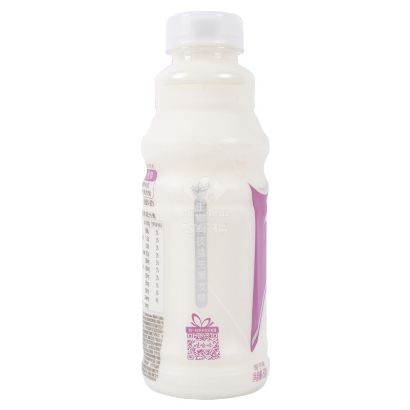 娃哈哈营养快线椰子味含乳饮料500g*15瓶幸福牵线整箱