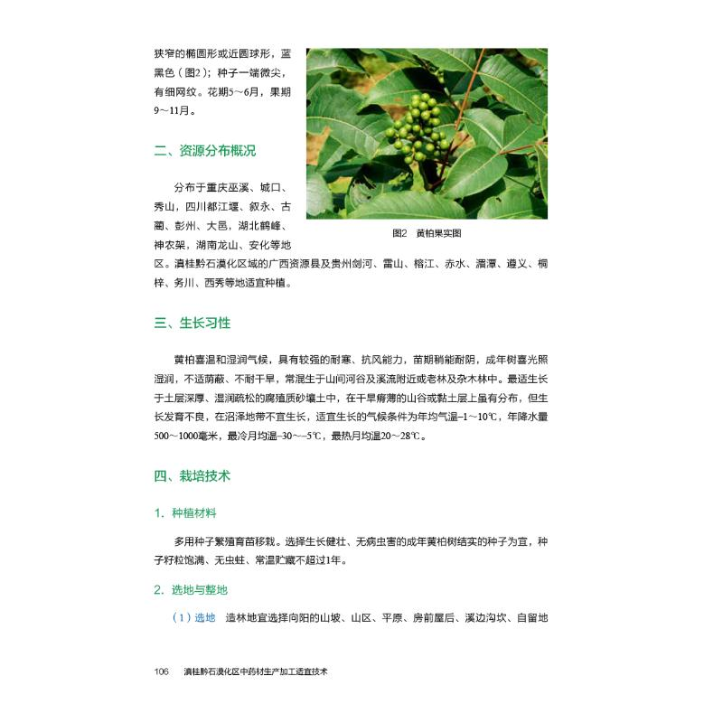 醉染图书滇桂黔石漠化区材生产加工适宜技术9787521424911高清大图