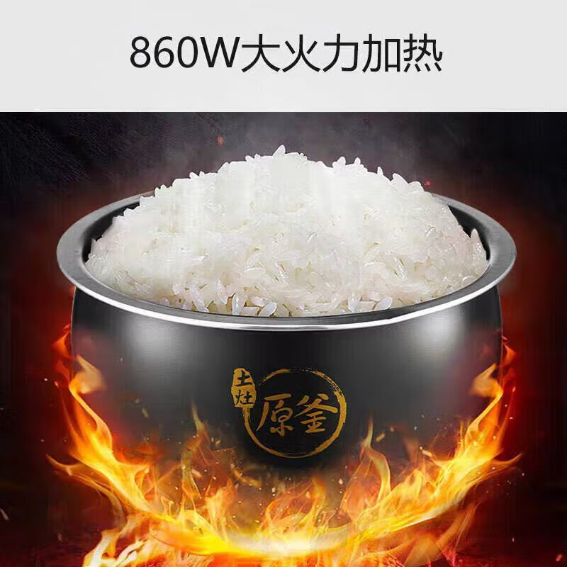 九阳(Joyoung)电饭煲小型家用智能柴火饭多功能一体锅电饭锅蒸煲煮一锅两用2-6 F40FY-F4165 四升饭煲高清大图