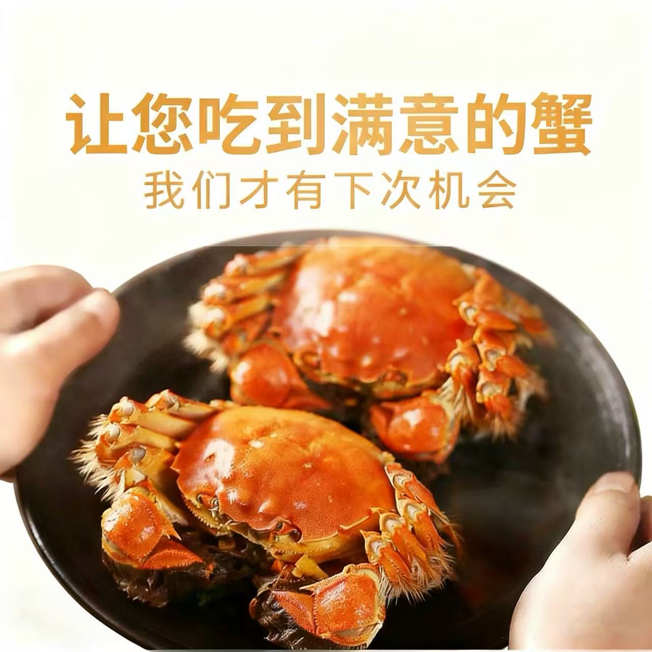 [活蟹]大闸蟹螃蟹4两公3两母10只装中秋礼盒 精品活蟹河蟹鲜活直发高清大图