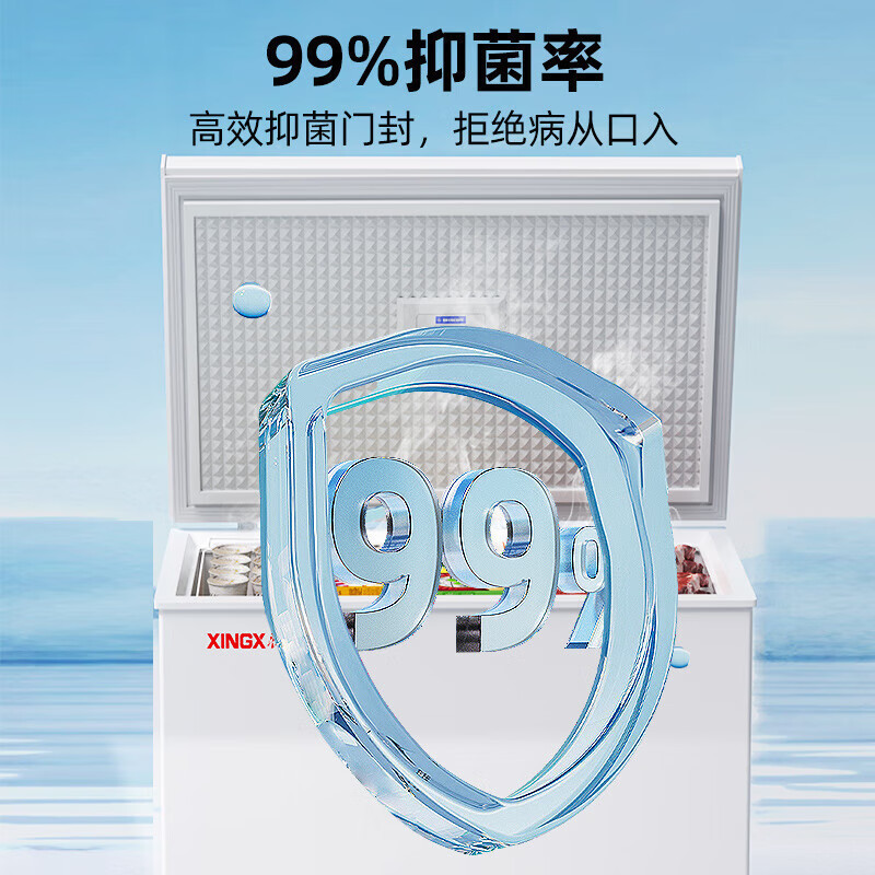 星星(XINGX)BD/BC-203QE家用小型冰柜 卧式冷柜预涂内胆单温厨房商用保鲜设备203升自动减霜1级能效