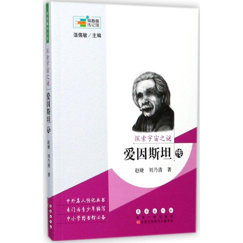 探索宇宙之谜:爱因斯坦传
