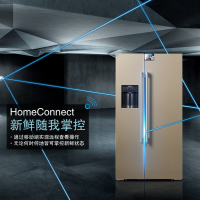 西门子（SIEMENS）KA92DS30TI 585升变频风冷无霜 并联双循环 家居互联对开门冰箱玻璃门（浅金色）